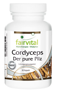 Cordyceps - Der pure Pilz